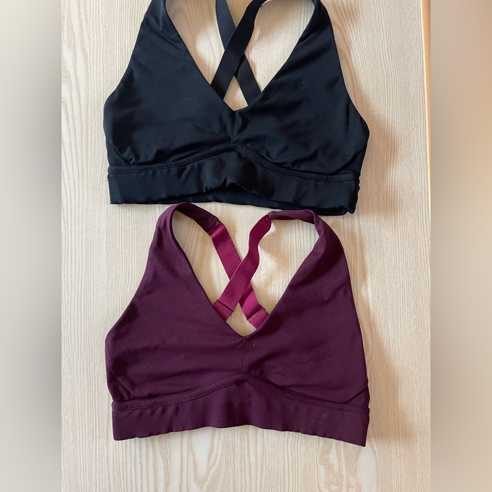 Fabletics Sports Bra Set